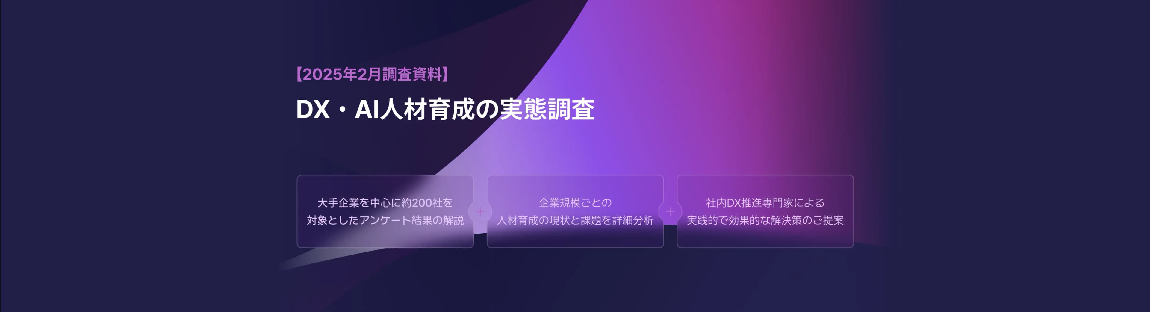 2025-dxreport